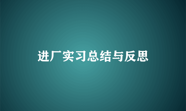 进厂实习总结与反思