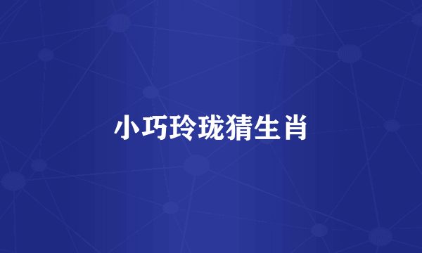 小巧玲珑猜生肖