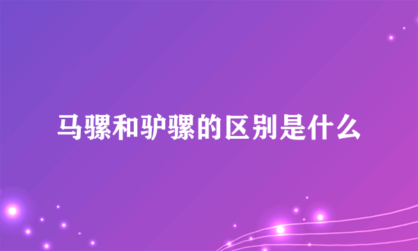 马骡和驴骡的区别是什么