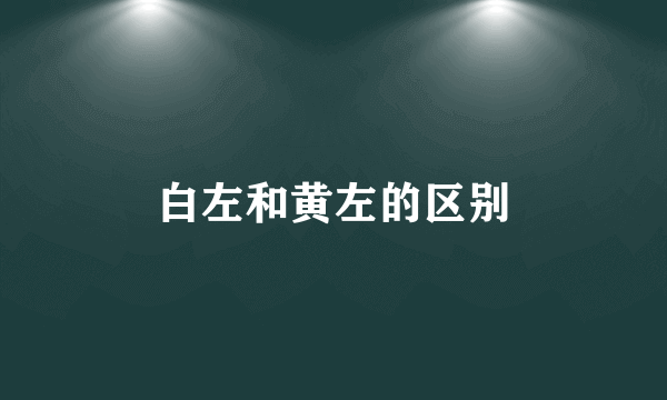 白左和黄左的区别