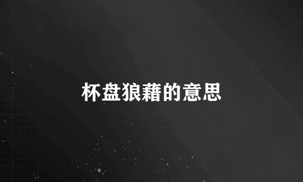 杯盘狼藉的意思