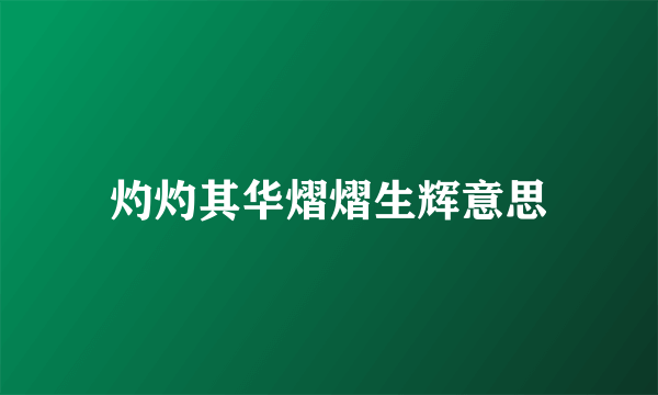 灼灼其华熠熠生辉意思
