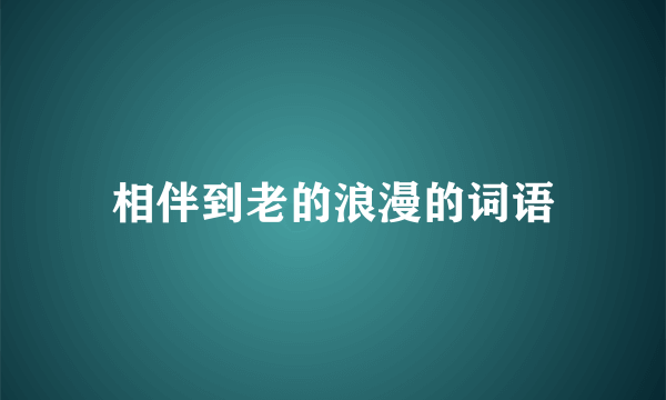 相伴到老的浪漫的词语