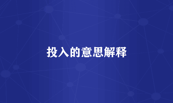 投入的意思解释