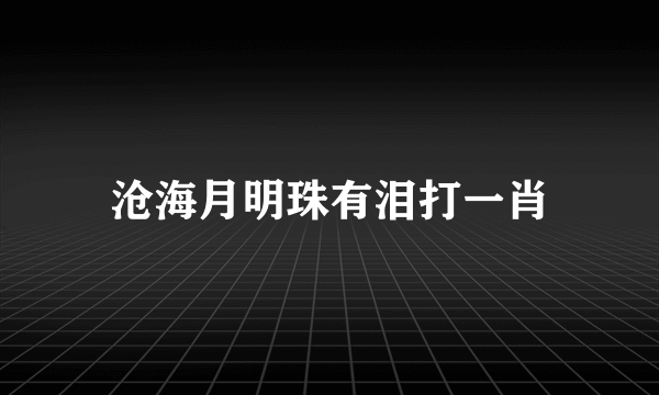 沧海月明珠有泪打一肖