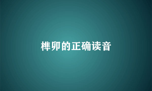 榫卯的正确读音