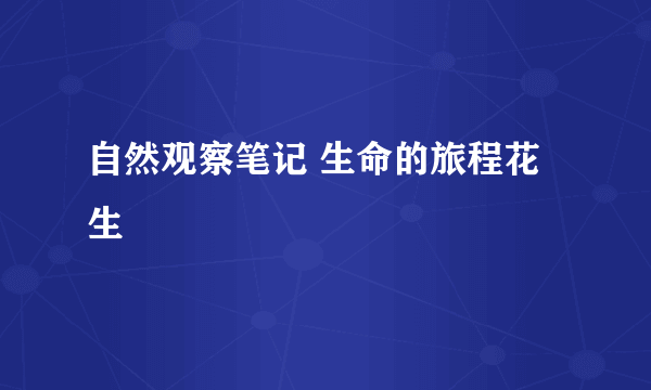 自然观察笔记 生命的旅程花生