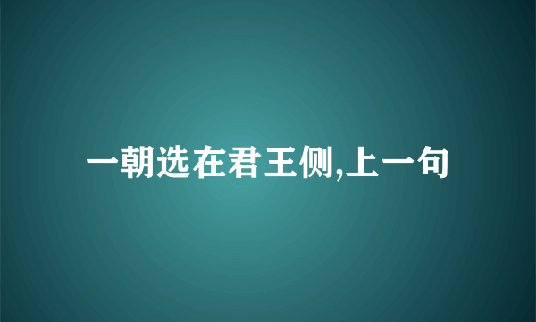 一朝选在君王侧,上一句