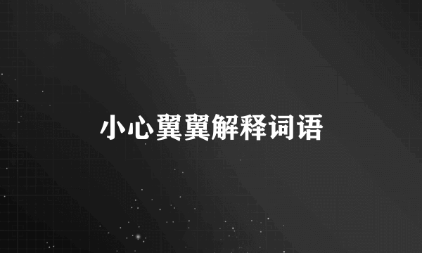 小心翼翼解释词语