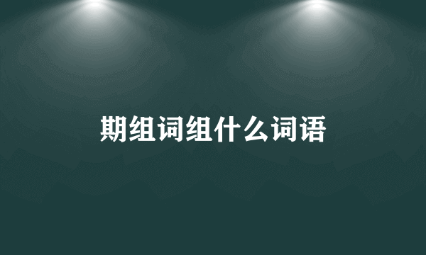 期组词组什么词语