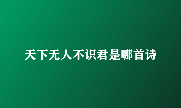 天下无人不识君是哪首诗