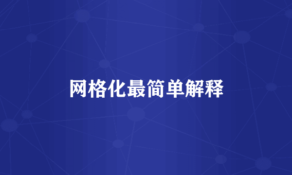 网格化最简单解释