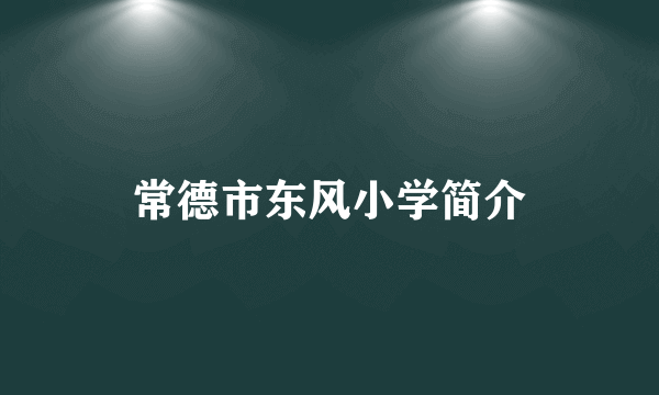 常德市东风小学简介