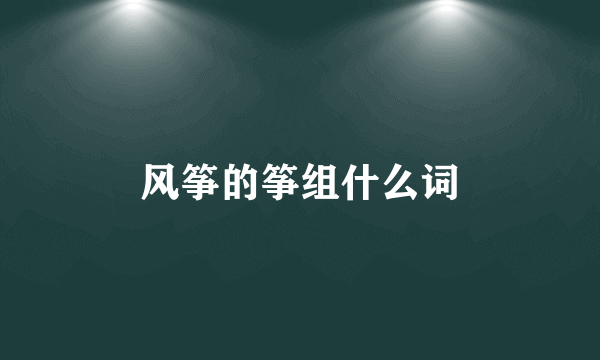 风筝的筝组什么词