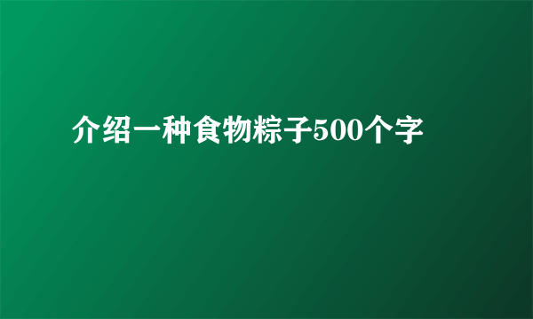 介绍一种食物粽子500个字