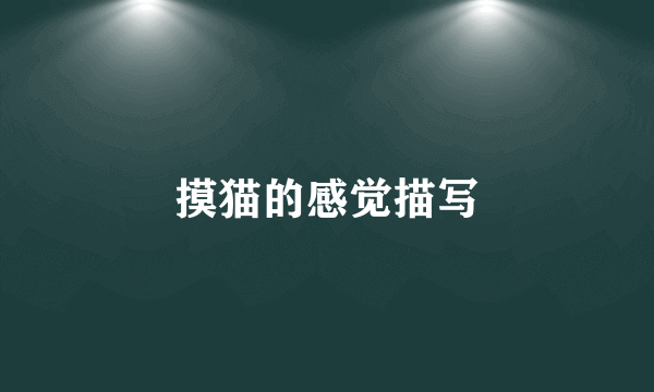 摸猫的感觉描写