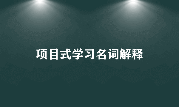 项目式学习名词解释