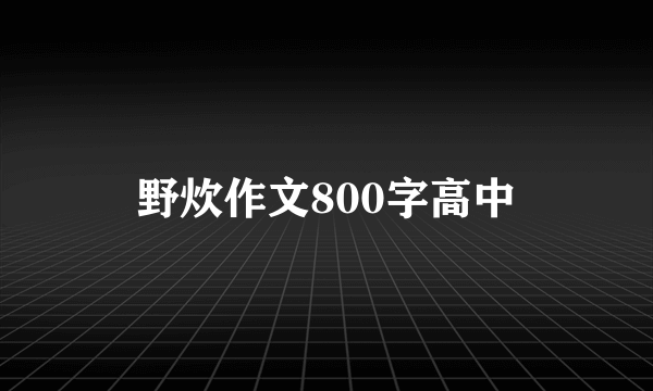 野炊作文800字高中