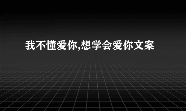 我不懂爱你,想学会爱你文案