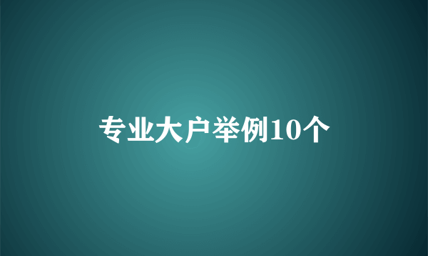 专业大户举例10个
