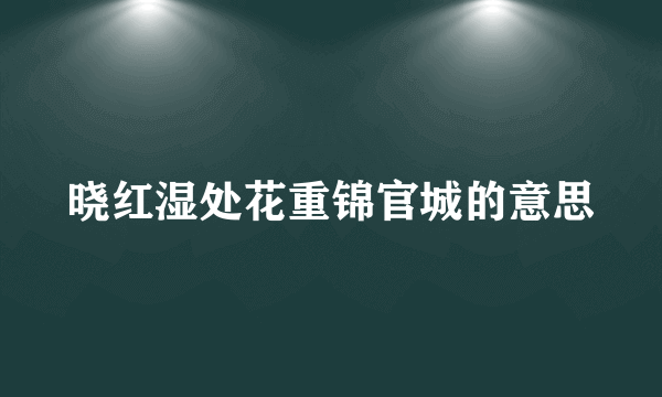 晓红湿处花重锦官城的意思
