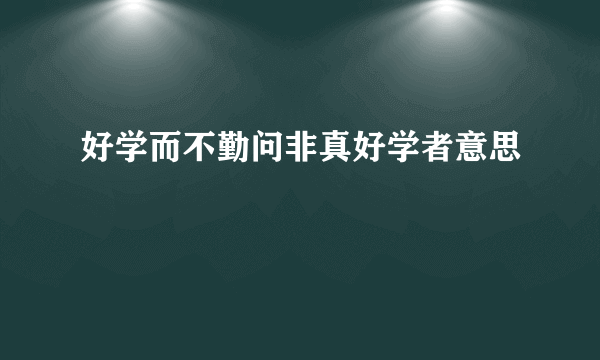 好学而不勤问非真好学者意思