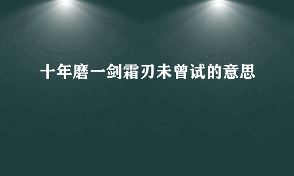 十年磨一剑霜刃未曾试的意思