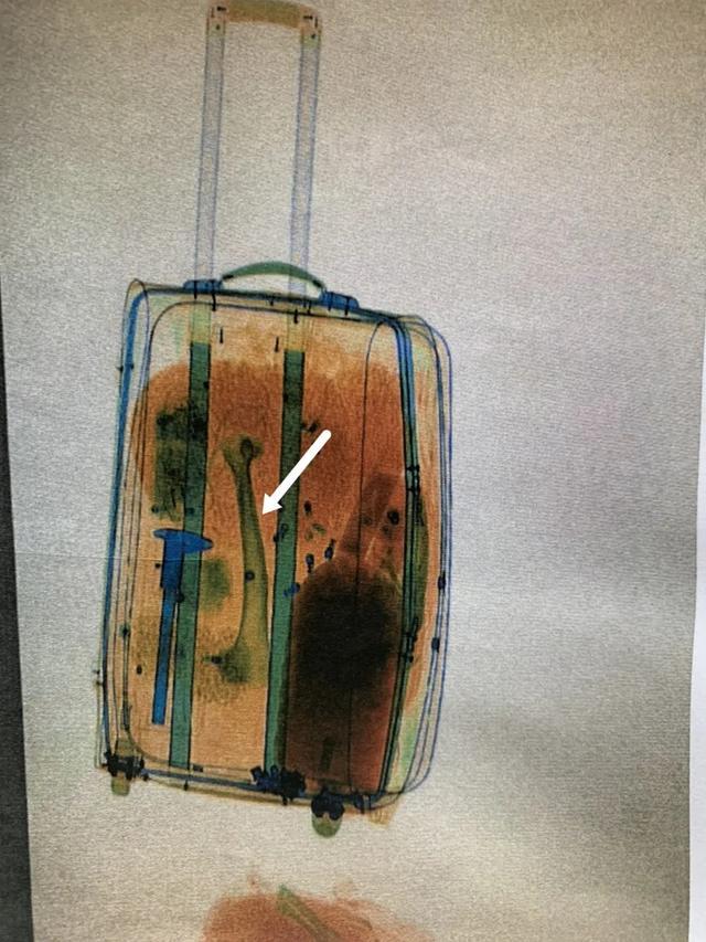 东北男子国外打工捡到虎骨,带回国泡酒,为何竟被判刑五年?