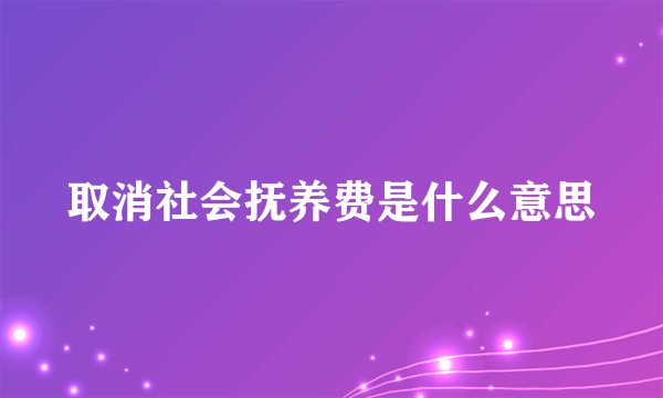 取消社会抚养费是什么意思