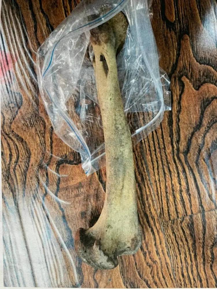 东北男子国外打工捡到虎骨,带回国泡酒,为何竟被判刑五年?