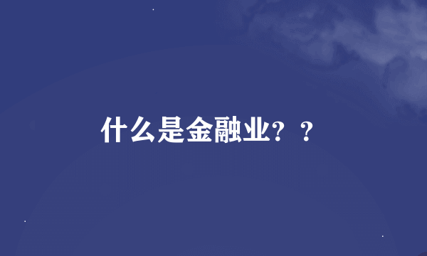 什么是金融业??
