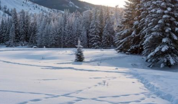 冰雪经济叫什么经济？
