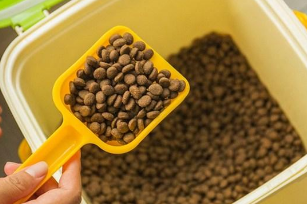 GO猫粮疑质量问题导致猫咪死亡，出问题的批次有哪些？