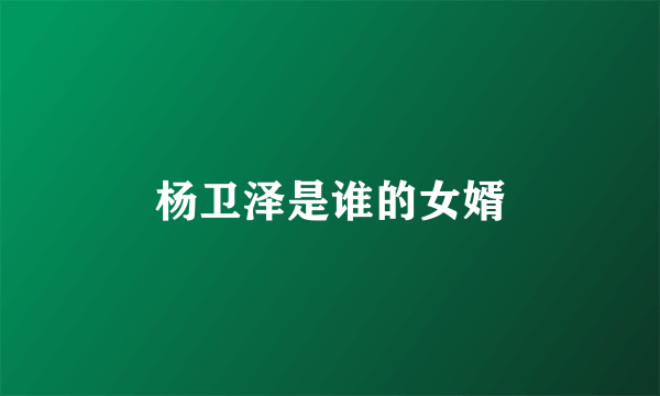 杨卫泽是谁的女婿