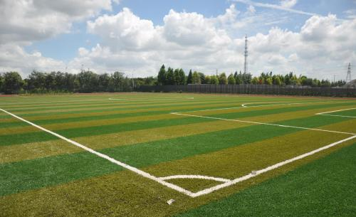 如何看待内蒙古培养耐踩草坪,标语为欢迎踩踏这件事?