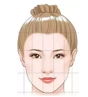 填充脂肪多少钱?