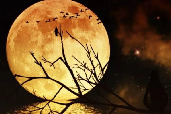 人不寐下一句是什么?