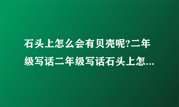 石头上怎么会有贝壳呢?二年级写话二年级写话石头上怎么会有贝壳呢