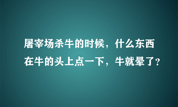 屠宰场杀牛的时候,什么东西在牛的头上点一下,牛就晕了?