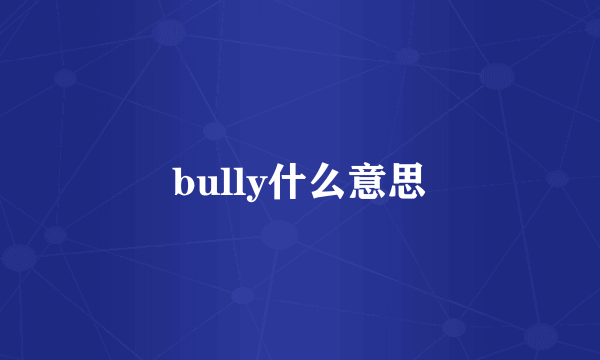 bully什么意思