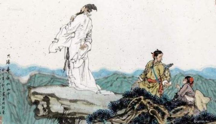 遗民泪尽胡尘里,南望王师又一年,这两句诗是什么意思