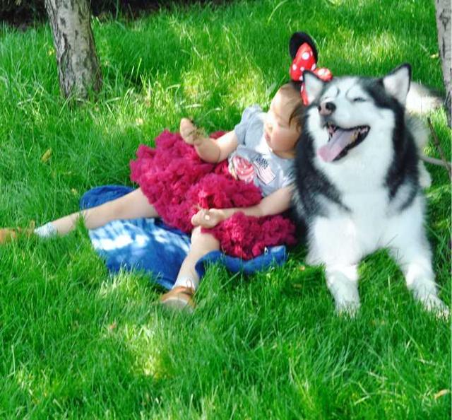 说服妈妈，让她同意你在家里养一条小狗。口语交际