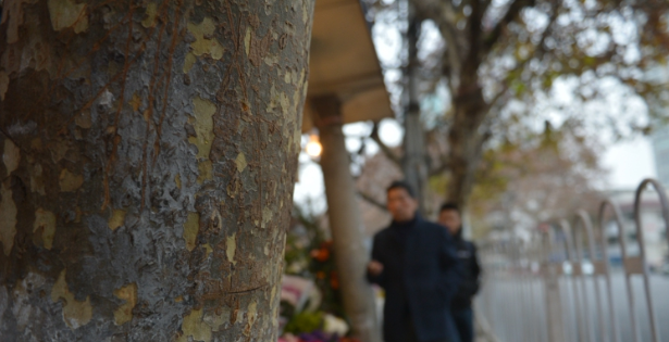 贵州出现最窄人行道,城管局对此有何回应?