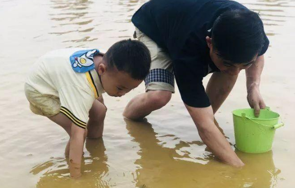 摸鱼的梗出自哪里?