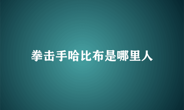 拳击手哈比布是哪里人