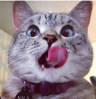 为什么大妈要求派出所开正经工作证明?