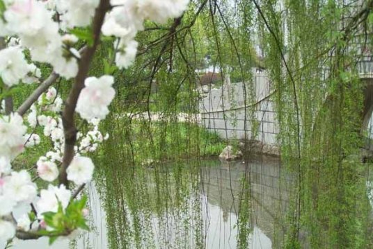 有心栽花花不开,无心插柳柳成荫是古诗吗另外两句是什么