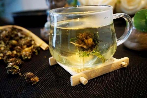 蒲公英泡水喝能减肥吗