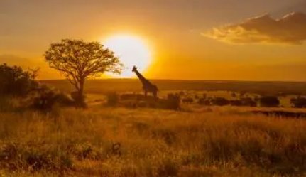 坦桑尼亚和中国关系是怎么样的？