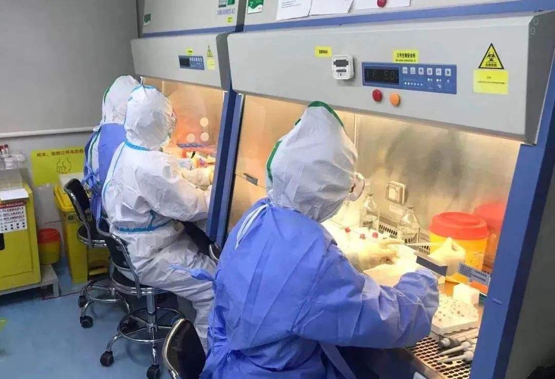 杭州新增5例本土无症状，这些确诊者之间有何联系？